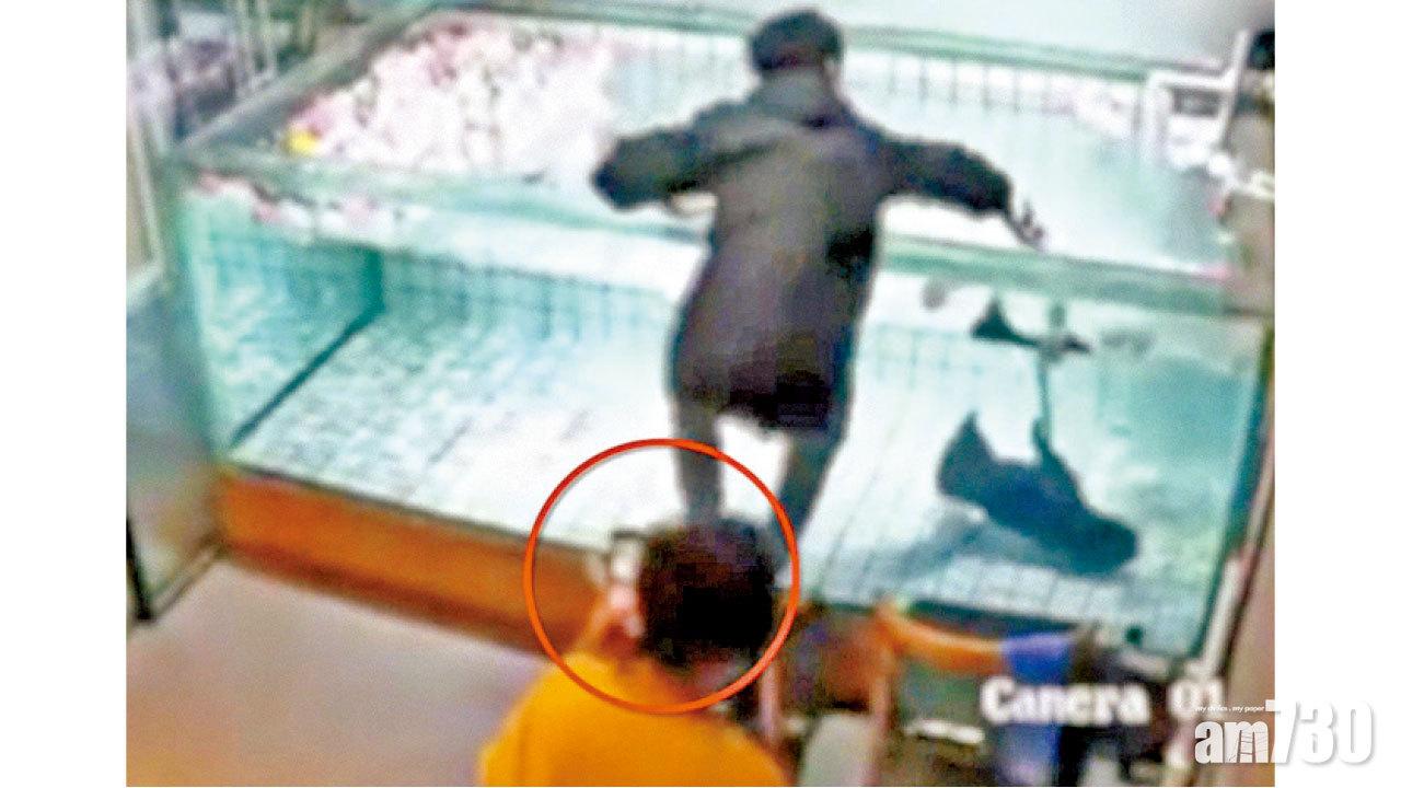 只顧拍片懶理鬥牛犬浸死 冷血狗主：你看牠不會游泳