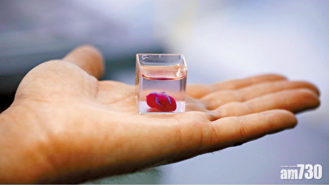 含人體細胞血管 全球首個 3D打印心臟 細如車厘子