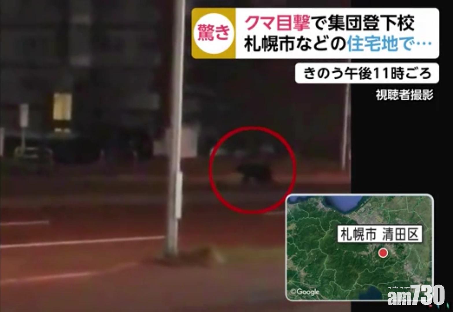 【熊出沒注意】北海道一晚7宗目擊個案  家長憂慮孩童安全