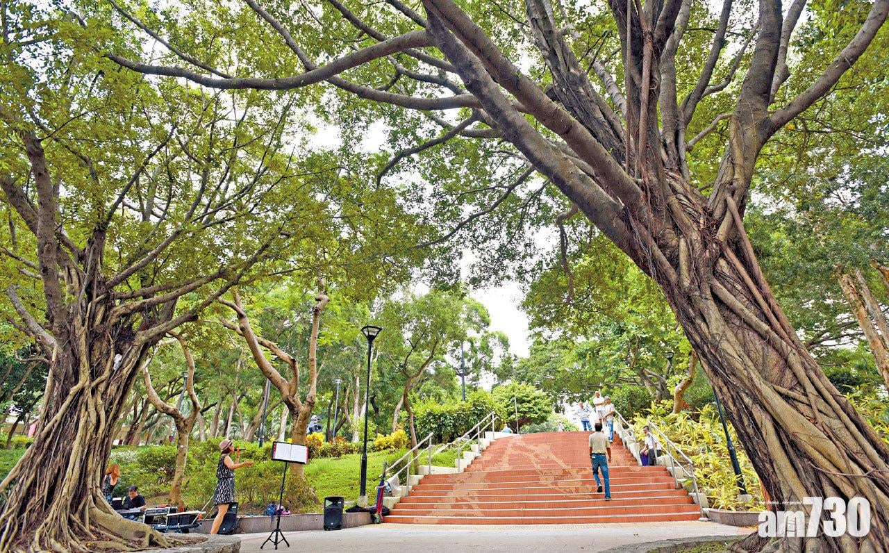 區議會通過取消屯門公園自娛區