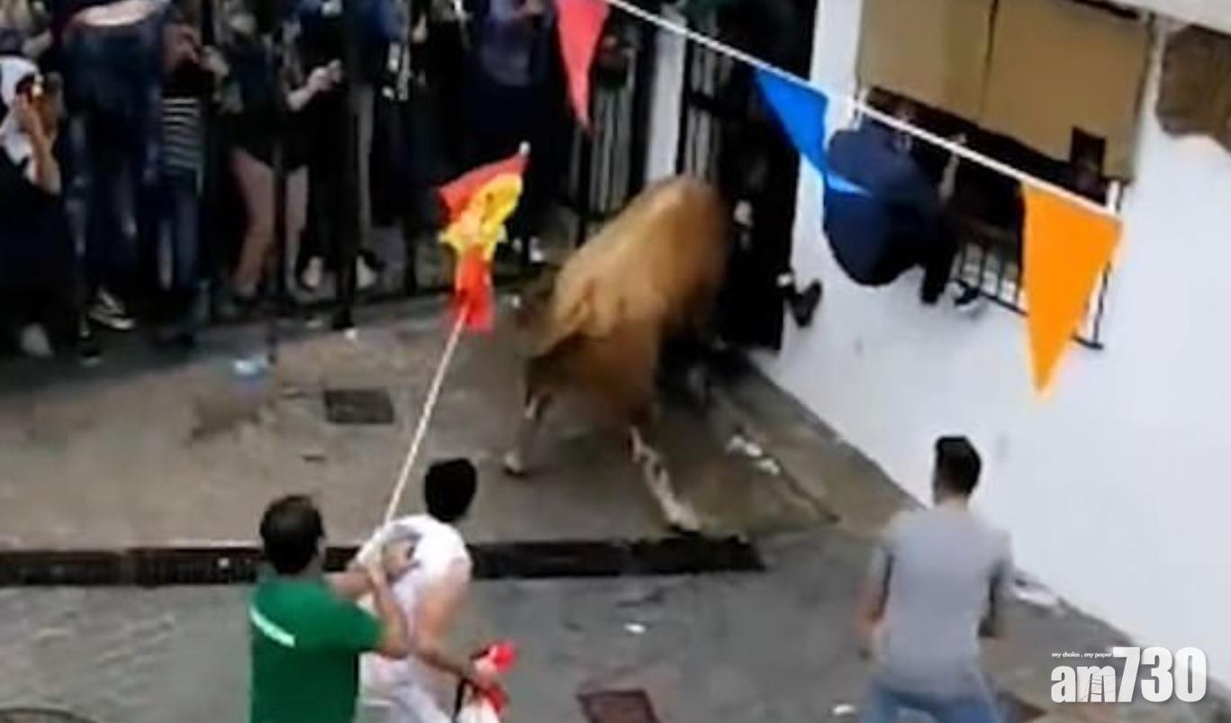 七旬翁奔牛節被蠻牛3次襲擊傷重死亡(有片)