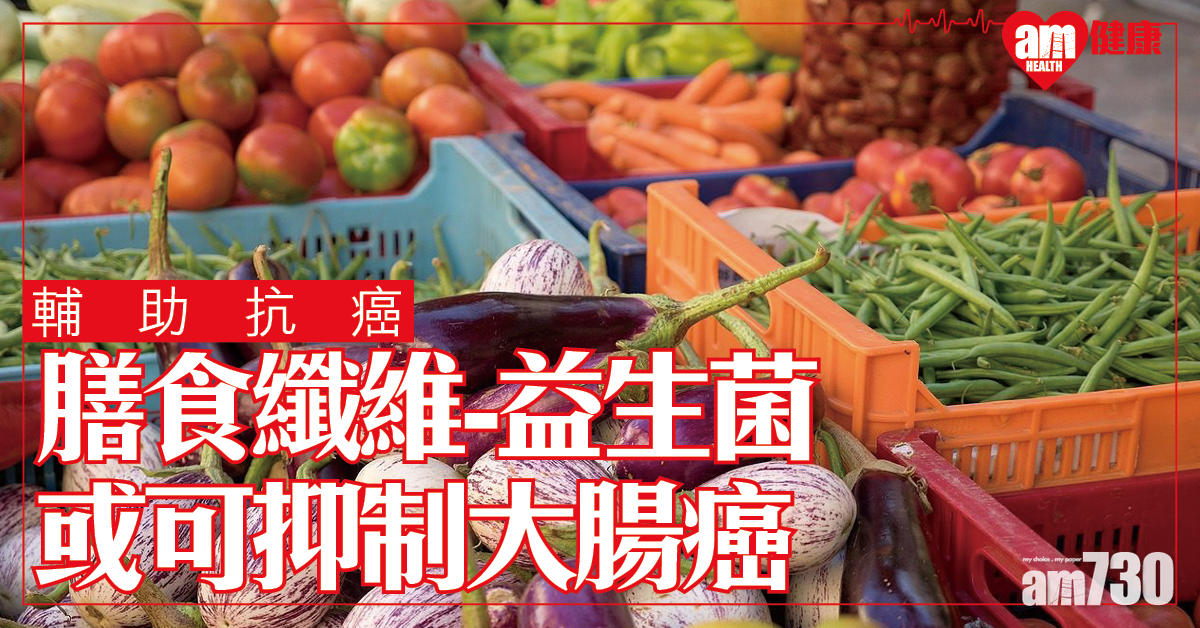 【輔助抗癌】食物－微生物組合或可抑制病情