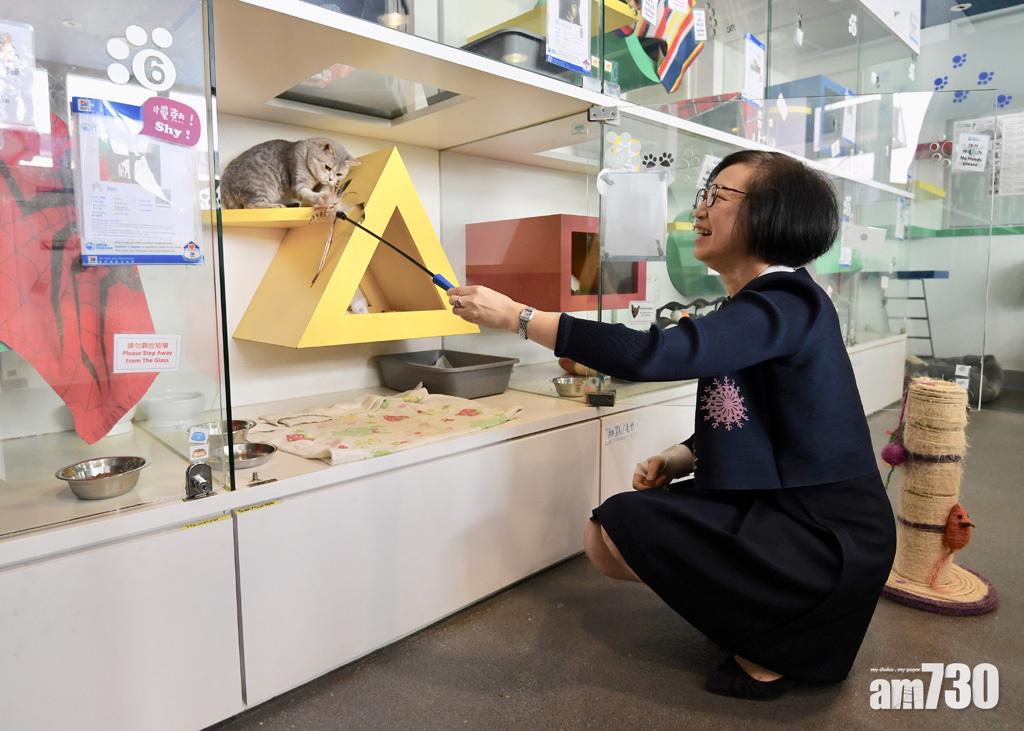 漁護署：暫未計劃設立「動物警察」