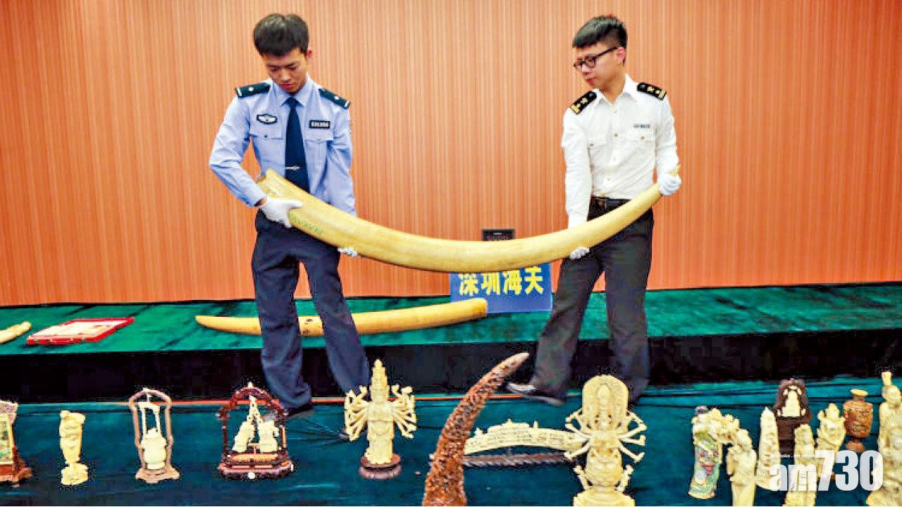 順豐等14速遞公司簽自律公約 拒收寄非法貿易野生動植物