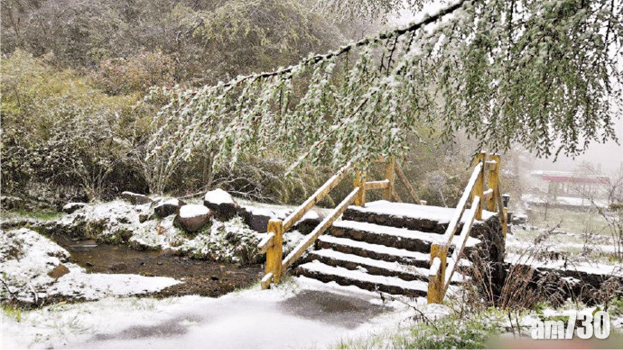 圖片新聞:夏雪