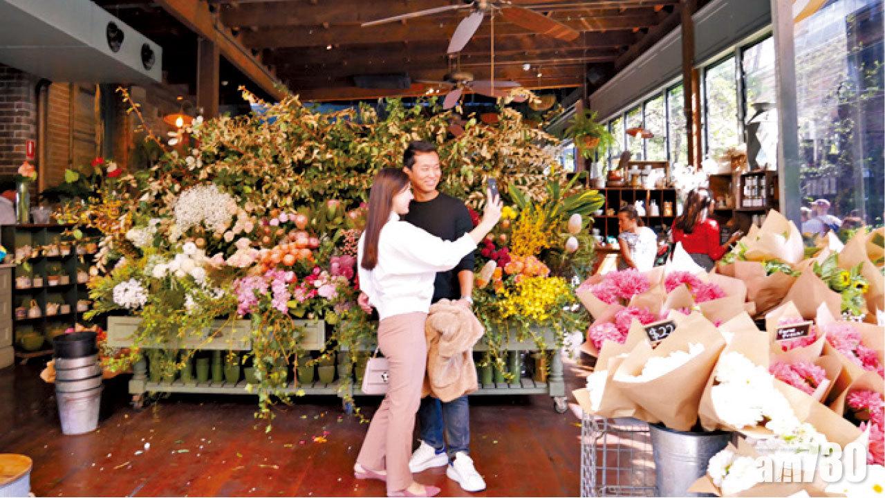 澳洲 悉尼 囂城中的小農莊