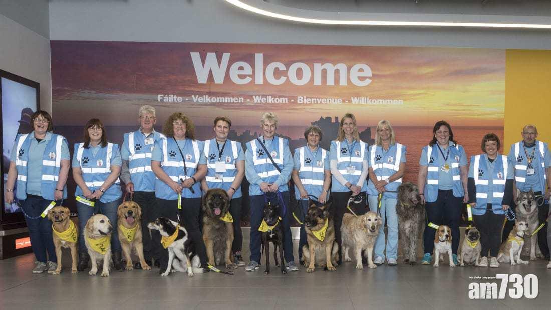 【好治癒】蘇格蘭機場實施「治療犬」服務  緩和旅客不安情緒