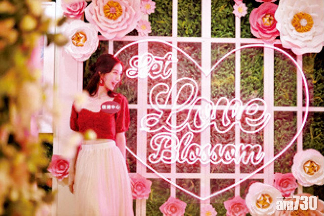 信德中心x皮忠 【Let Love Blossom森愛•花見】