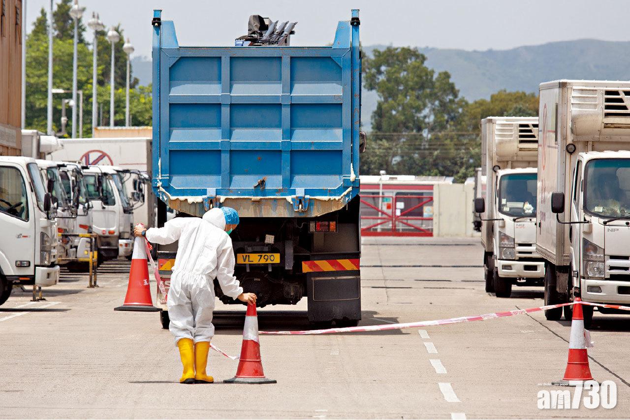政府日內完成銷毀6000豬隻 業界料下周一恢復供應