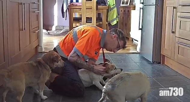 【死過翻生】狗狗食芝士鯁親倒地  主人用環抱壓腹法救命(有片)