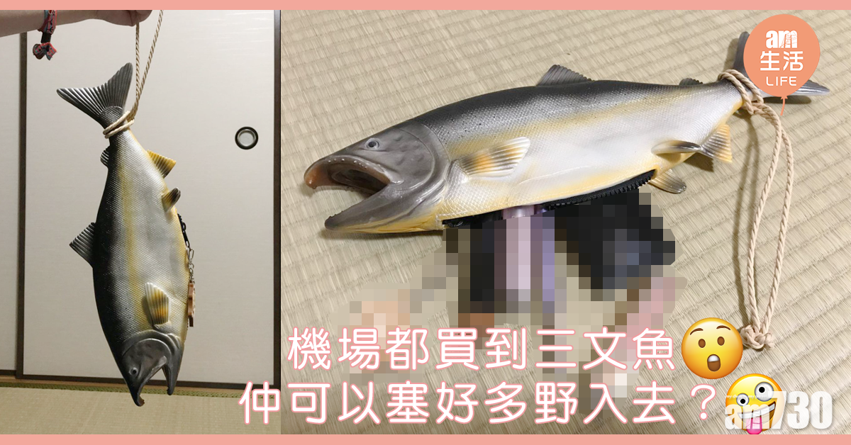 三文魚變化妝袋？