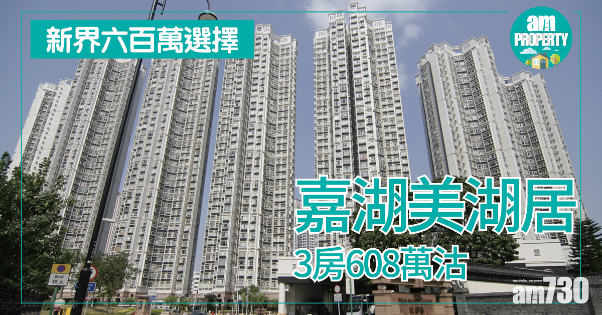 新界六百萬選擇！嘉湖3房608萬沽