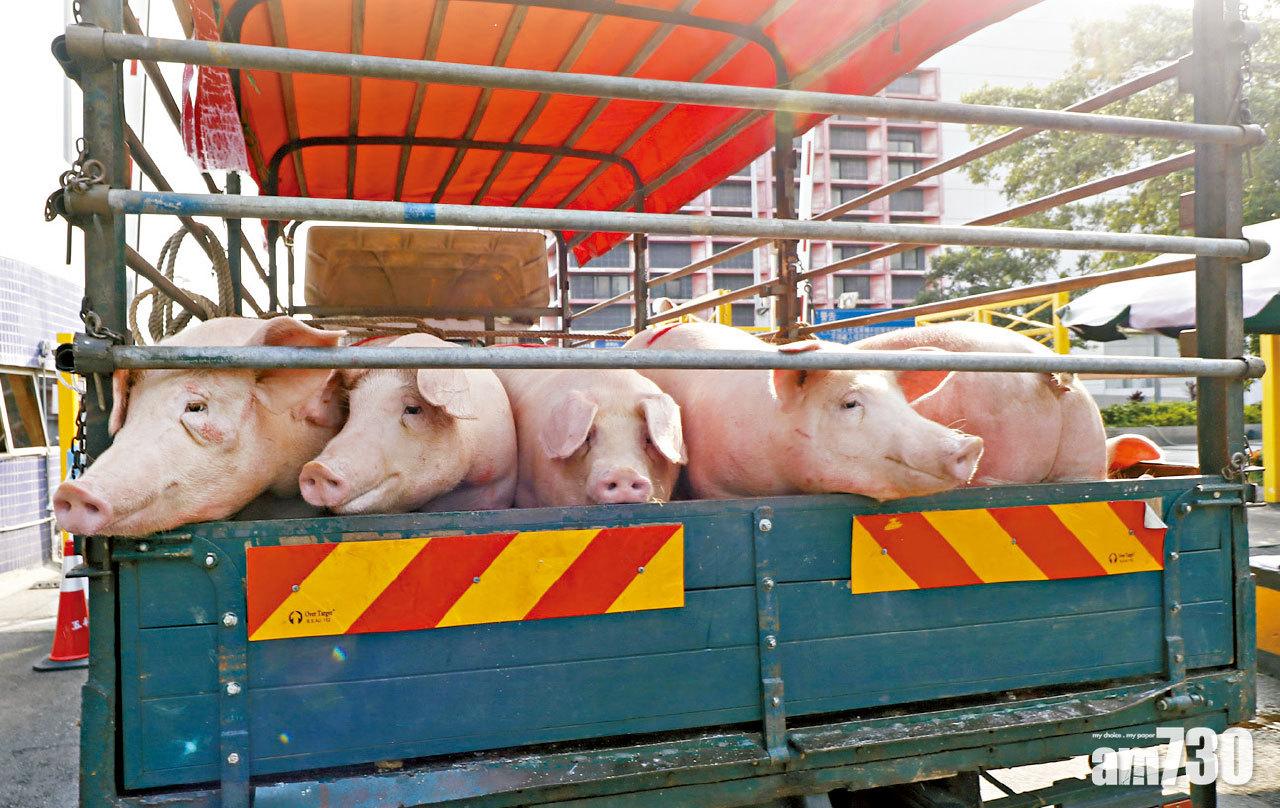 上水荃灣屠房昨恢復運作 鮮豬肉零售價每斤貴最少4元