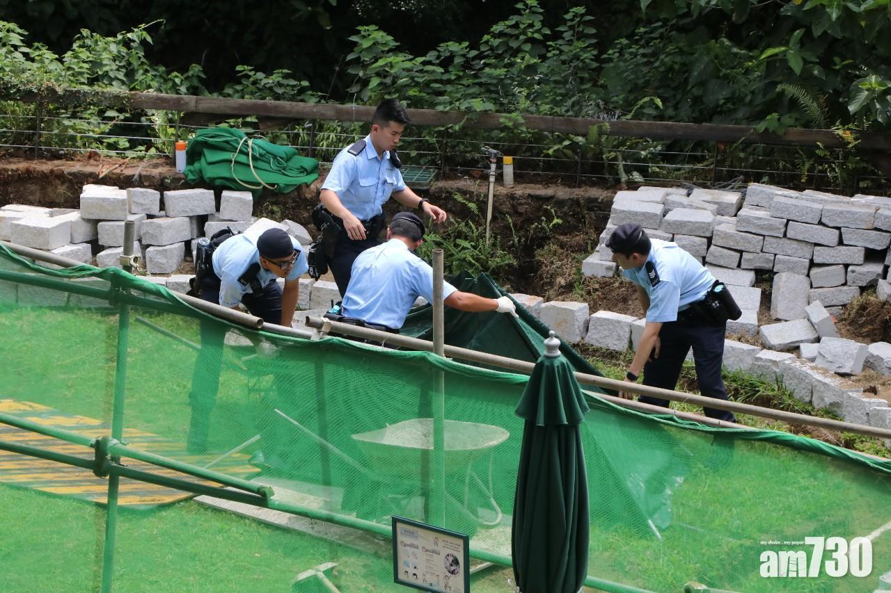 【直升機失事】警員嘉道理農場搜獲人體殘肢