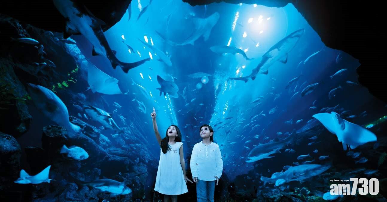 夜遊杜拜　應該這樣過