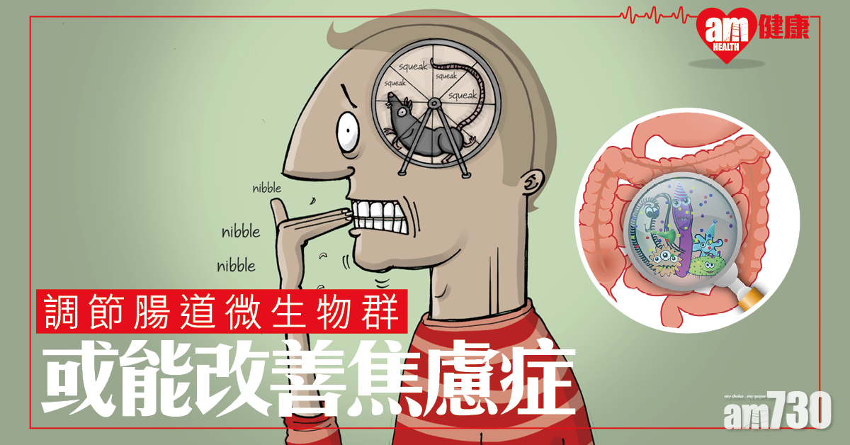 【腸道微生物群】有證據支持益生菌或能改善焦慮症