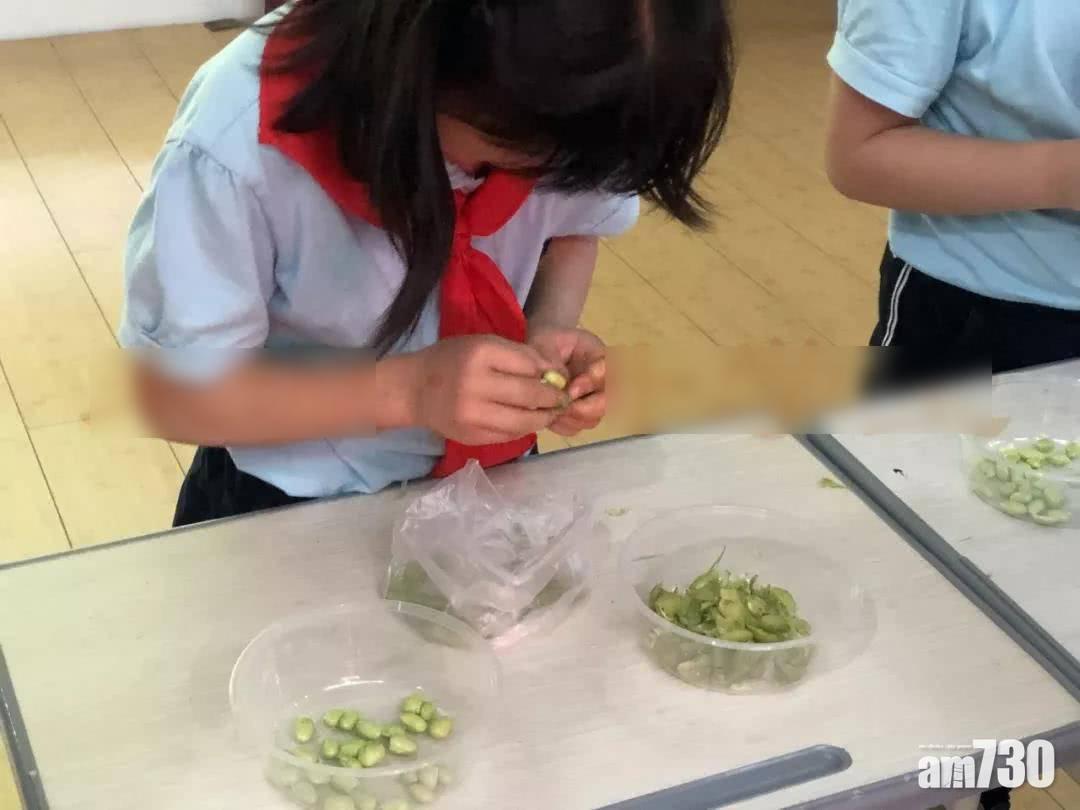 預防近視？浙小學校長話剝枝豆有用