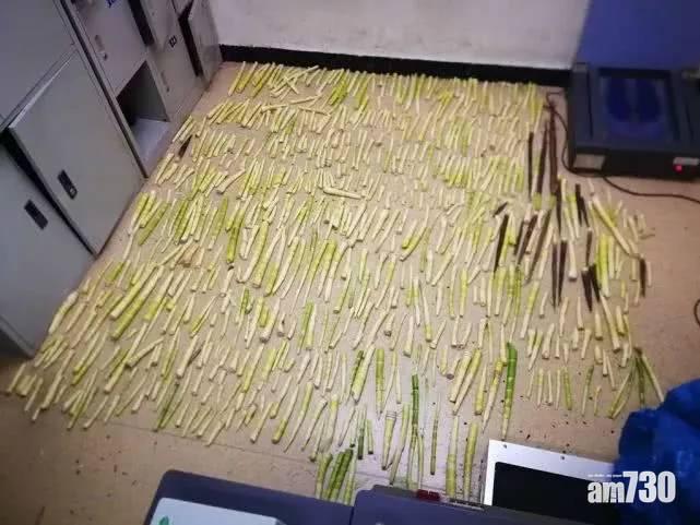 【辣手摧竹】兩中女為口腹之欲 挖走綠化地帶852棵竹筍