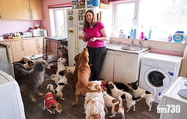 22犬霸全屋 狗奴老公縮斗室