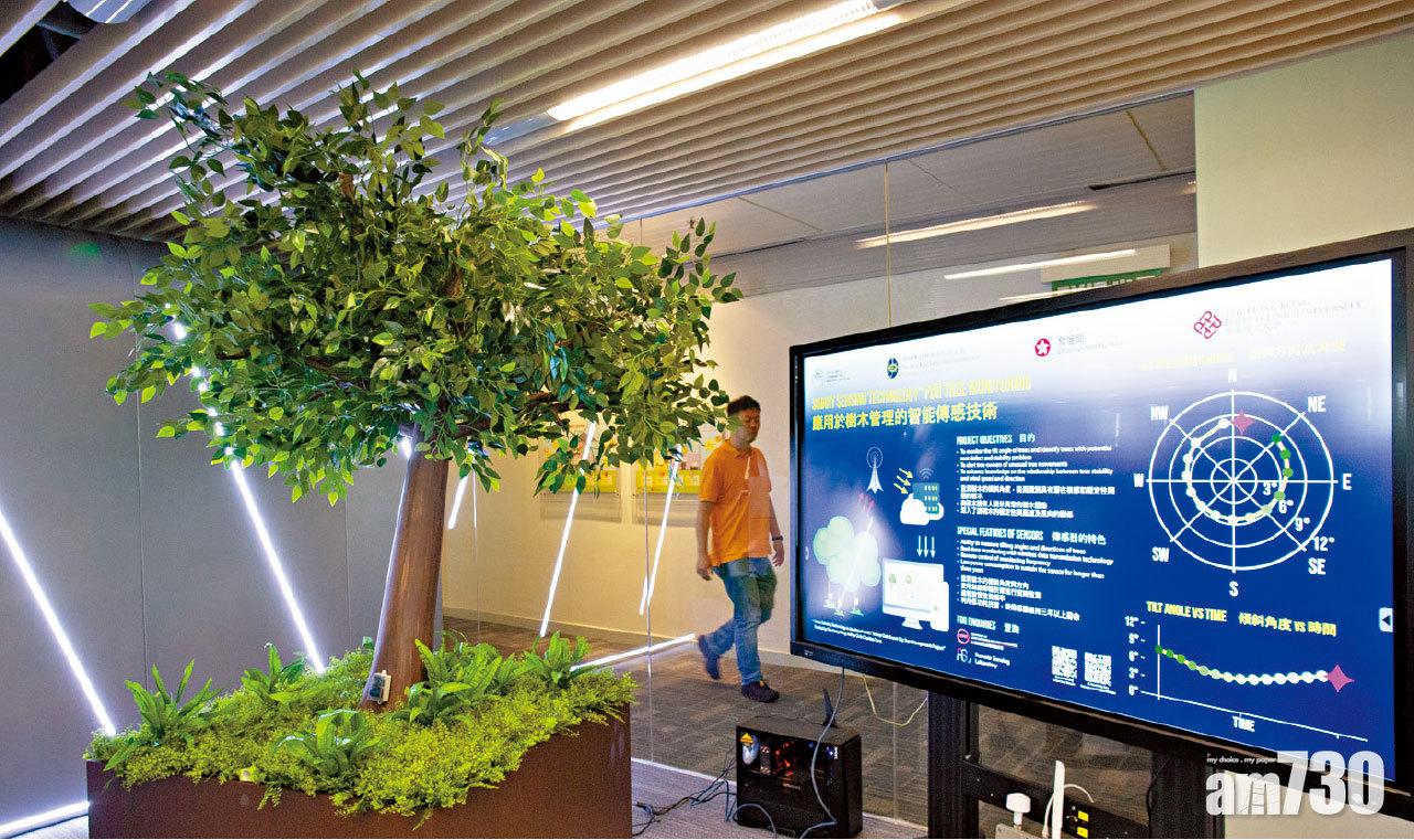 明年首季8千棵裝感應器測量 全天候監察樹木健康