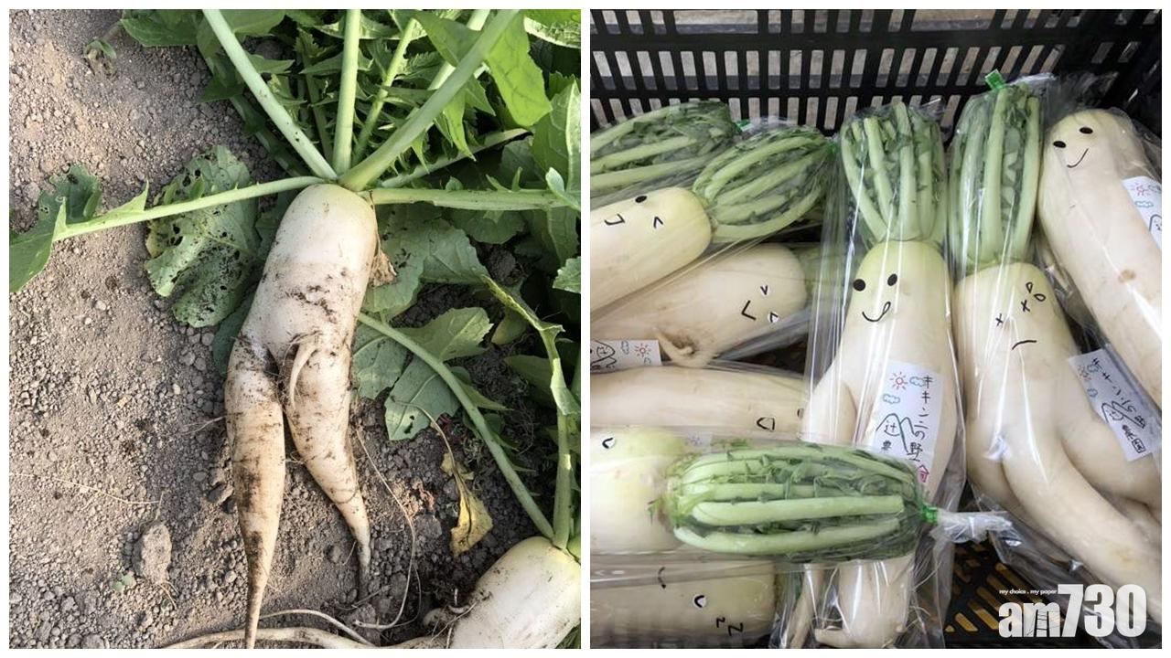 【奇形怪狀賣唔去】大根蘿蔔靠得意Emoji翻身