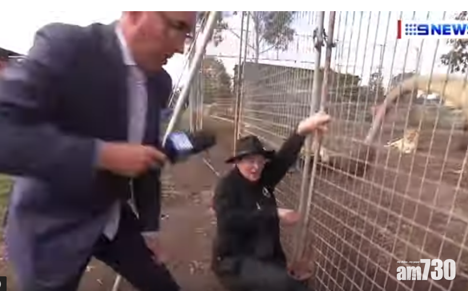 【慘慘豬】記者被獅子請飲茶 噴到滿身滿臉尿 (有片)