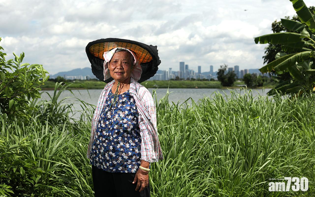 養魚戶傳承產業文化近半世紀未言休