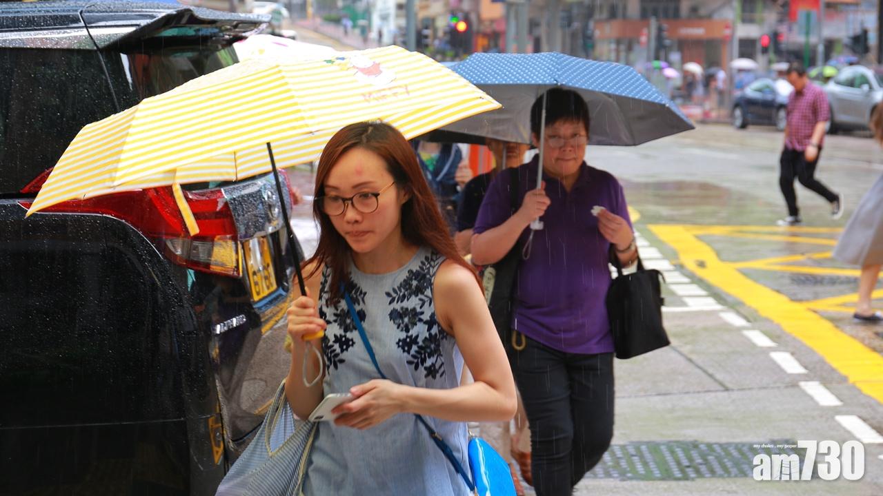 低壓槽帶來不穩定天氣 未來數日炎熱有驟雨