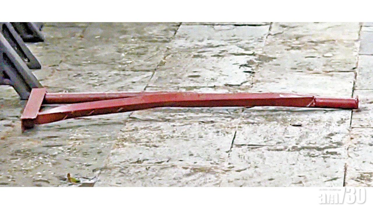 63歲婦遭狗臂架擊中斃命