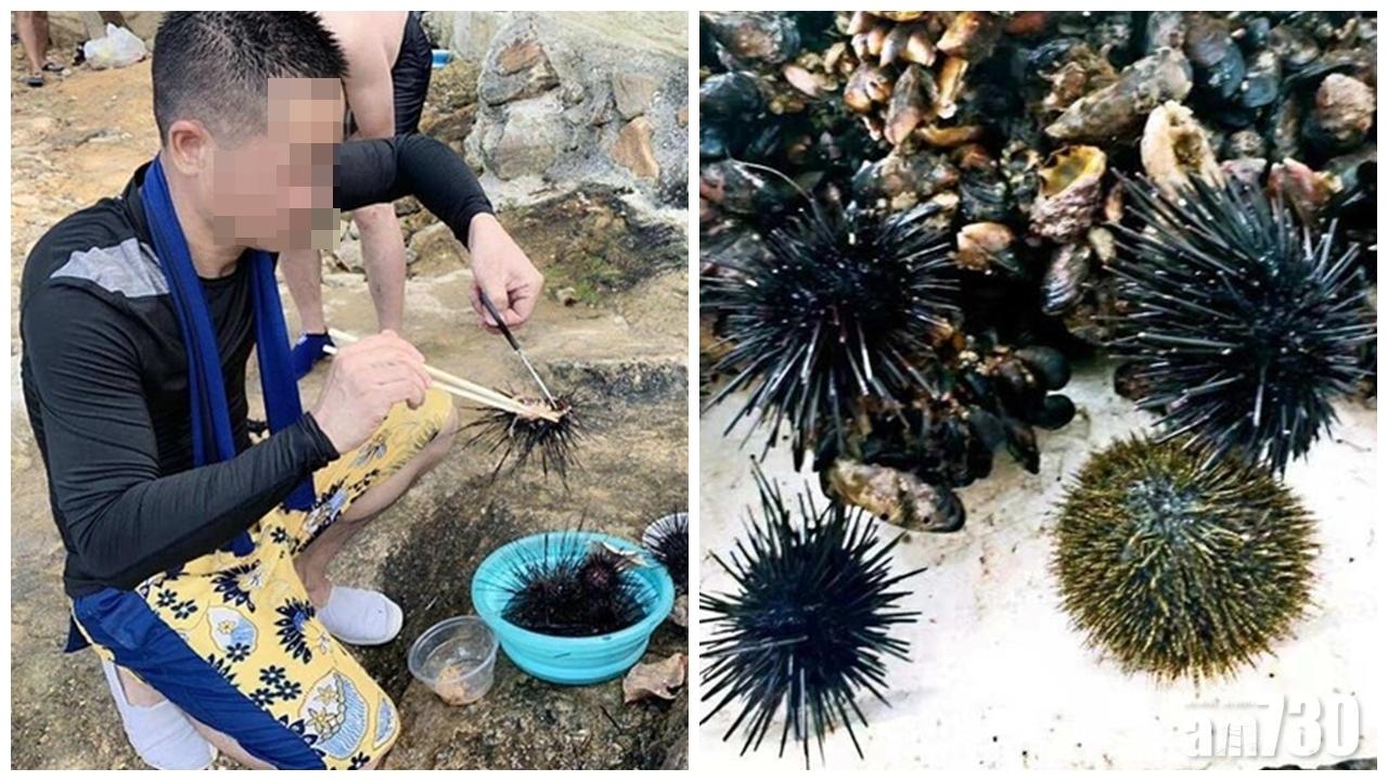 男子疑海下灣保護區捕海鮮 即場烹調稱「自力更生」被網民鬧爆