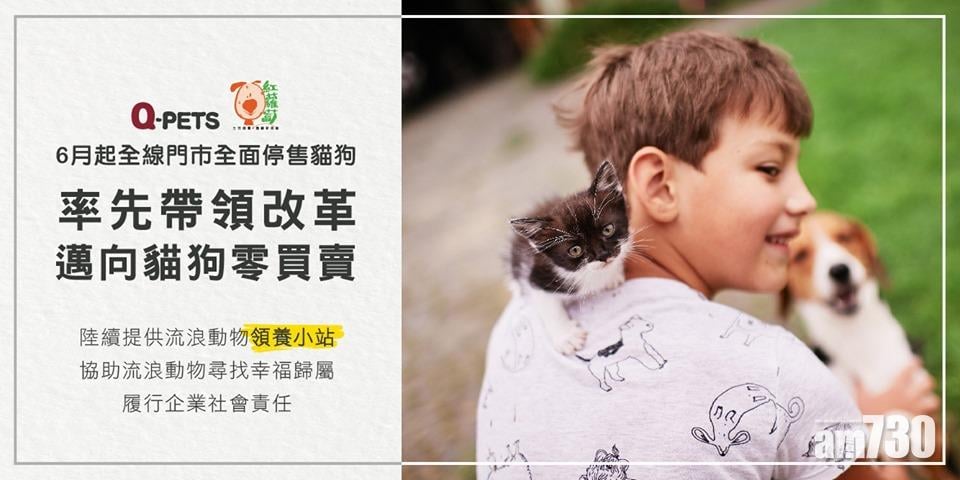 全港最大寵物用品企業宣布停售貓狗 下月辦首場貓貓領養日