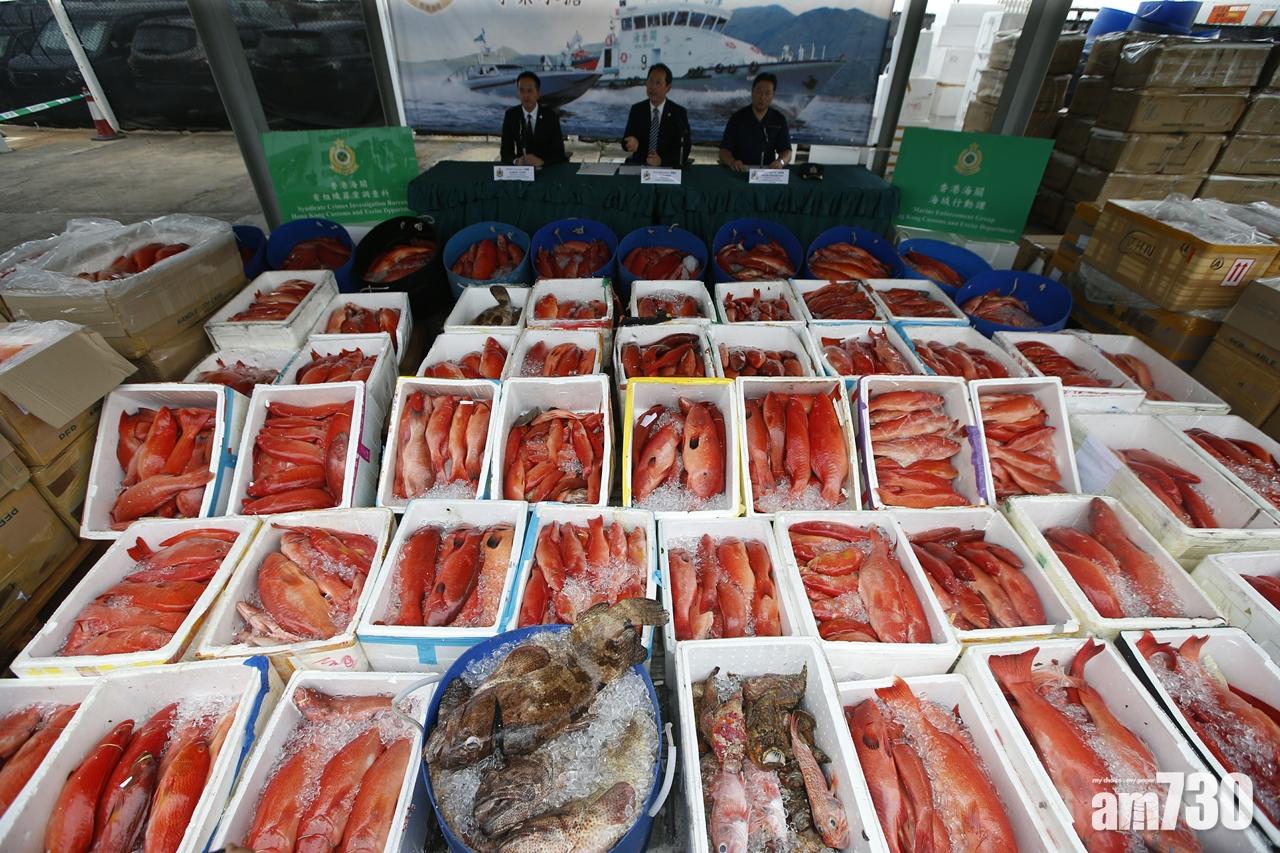 首破高價海鮮走私集團 海關檢市值百萬冰鮮魚拘8男