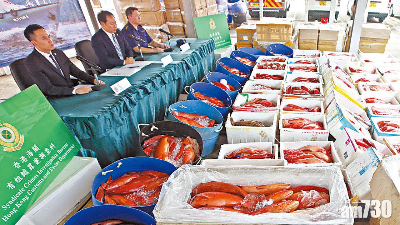 首瓦解走私高價海鮮集團 海關檢5.2噸冰鮮魚