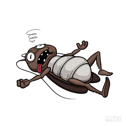 【殺唔死】研究：小強一代可增6倍抗藥性  單靠殺蟲水唔掂