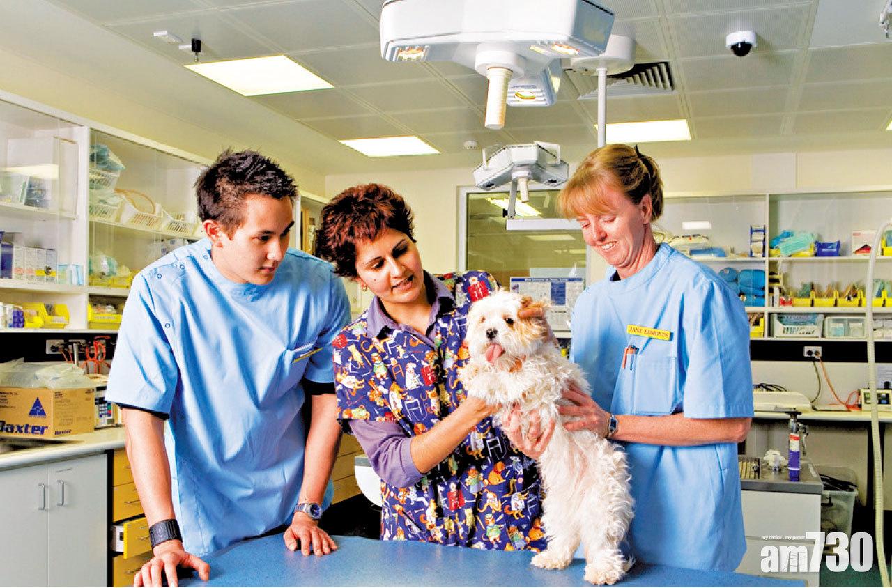 赴澳修讀醫療健康課程 專業資格認受性高