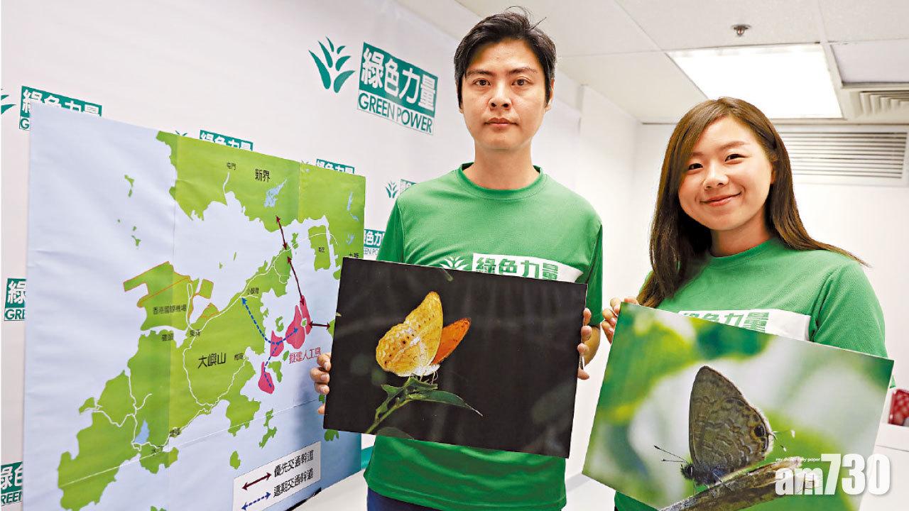 南大嶼見非常罕見物種  幸運轆蛺蝶現塘福