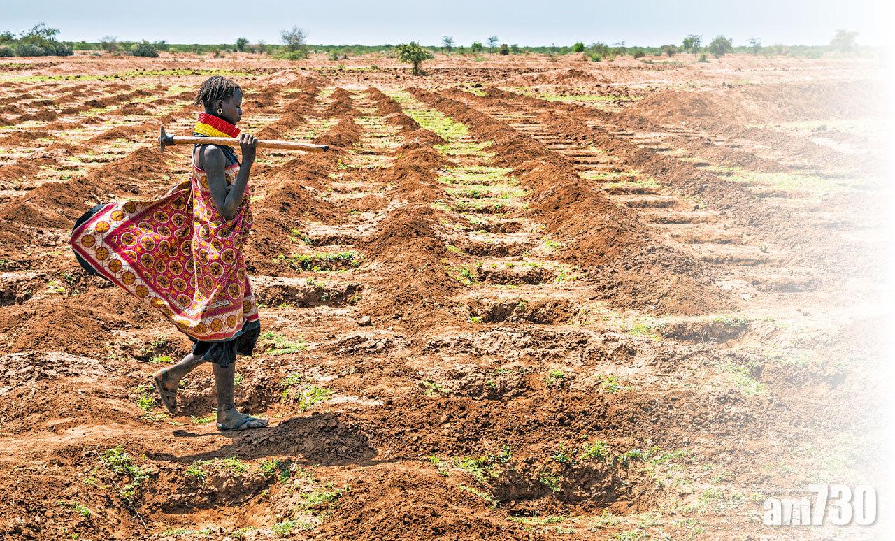 荒漠化下的農耕小技 全球乾旱及土地退化