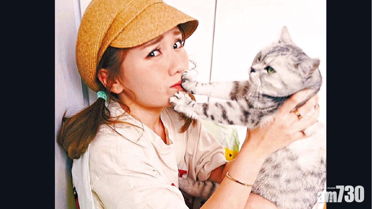 繁殖場救貓 譚杏藍（小花）愛貓 生四隻活一B