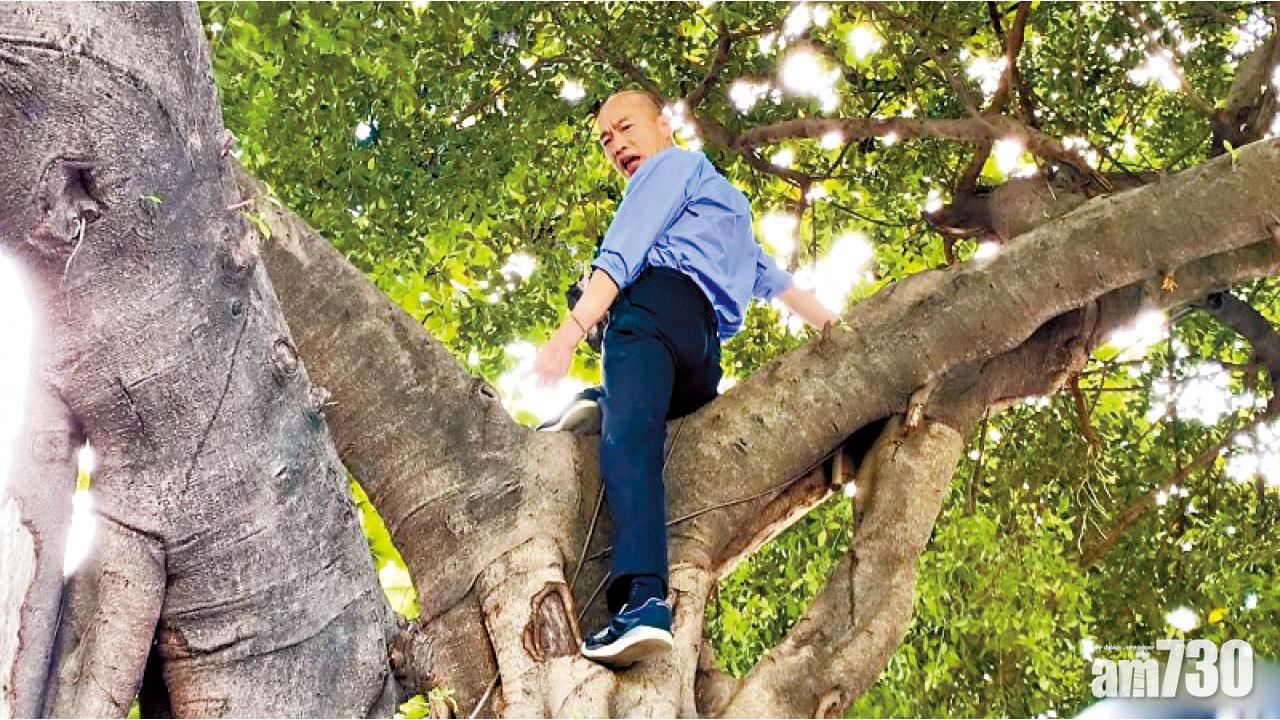 韓國瑜攀樹尋蚊防登革熱 台網民諷「爛瑜衝樹」