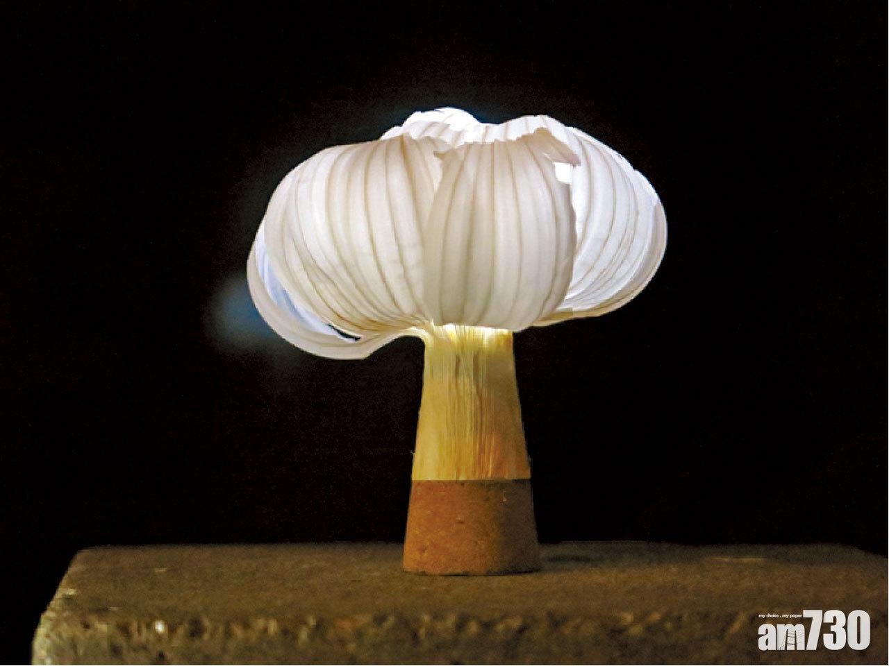 剩食變盛食 環保新潮