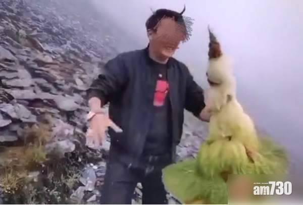 拍片炫耀摘高山珍稀植物 男子自首稱「當野果食」