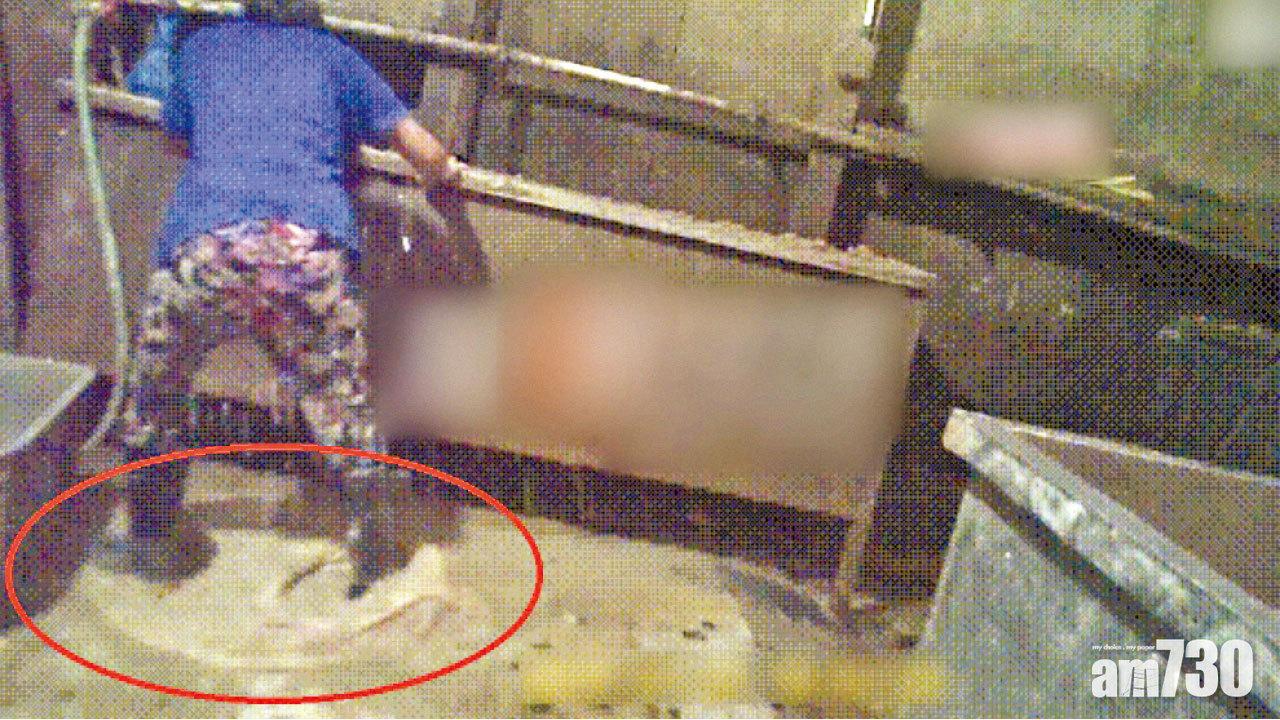 深圳工業石灰牛肚橫行 21火鍋店檢逾117公斤 