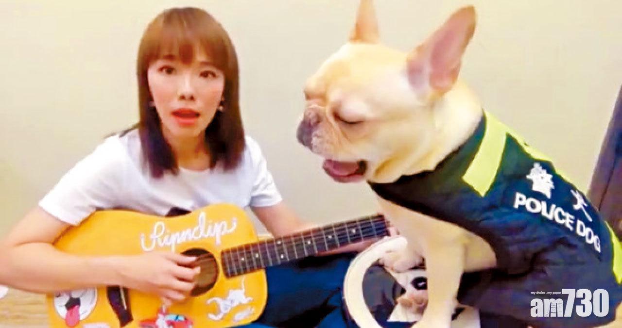 J.Arie（雷深如）愛犬第一次月事 家裡變血案現場