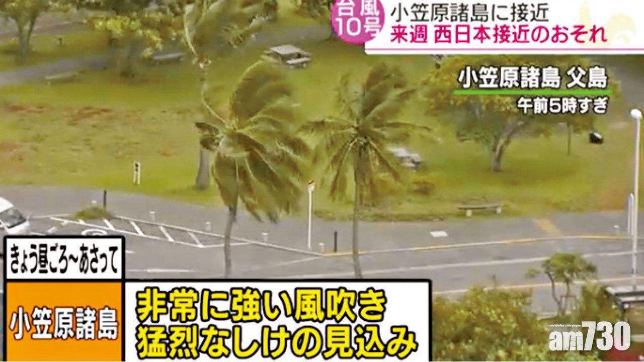 西日本降暴雨 羅莎料掀9米巨浪