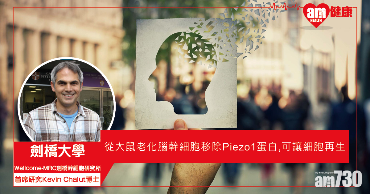 【逆轉再生】劍橋科學家找到逆轉大鼠腦幹細胞的衰老過程