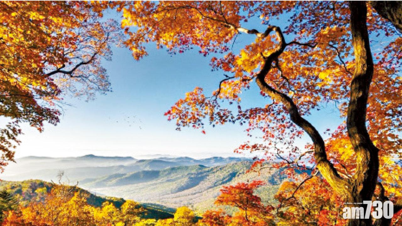 現代中國旅行社 大別山(三省鄂豫皖腹地)  8天團