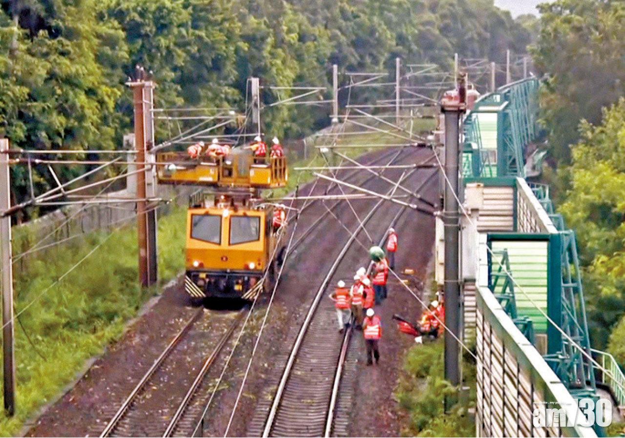 塌樹擊中近大埔墟站架空電纜  東鐵綫搶修10小時