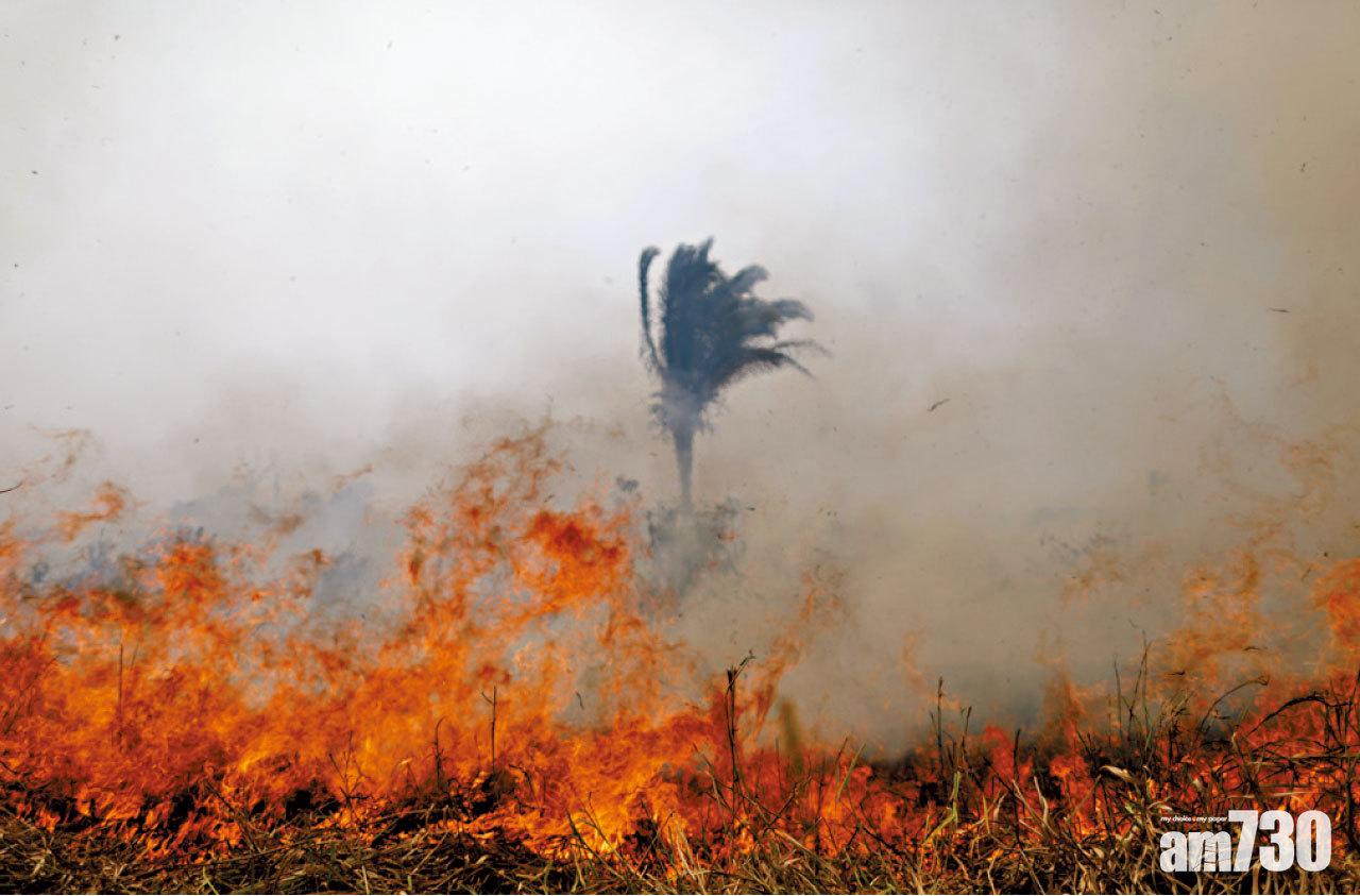 巴西亞馬遜森林大火 6州要求軍方協助