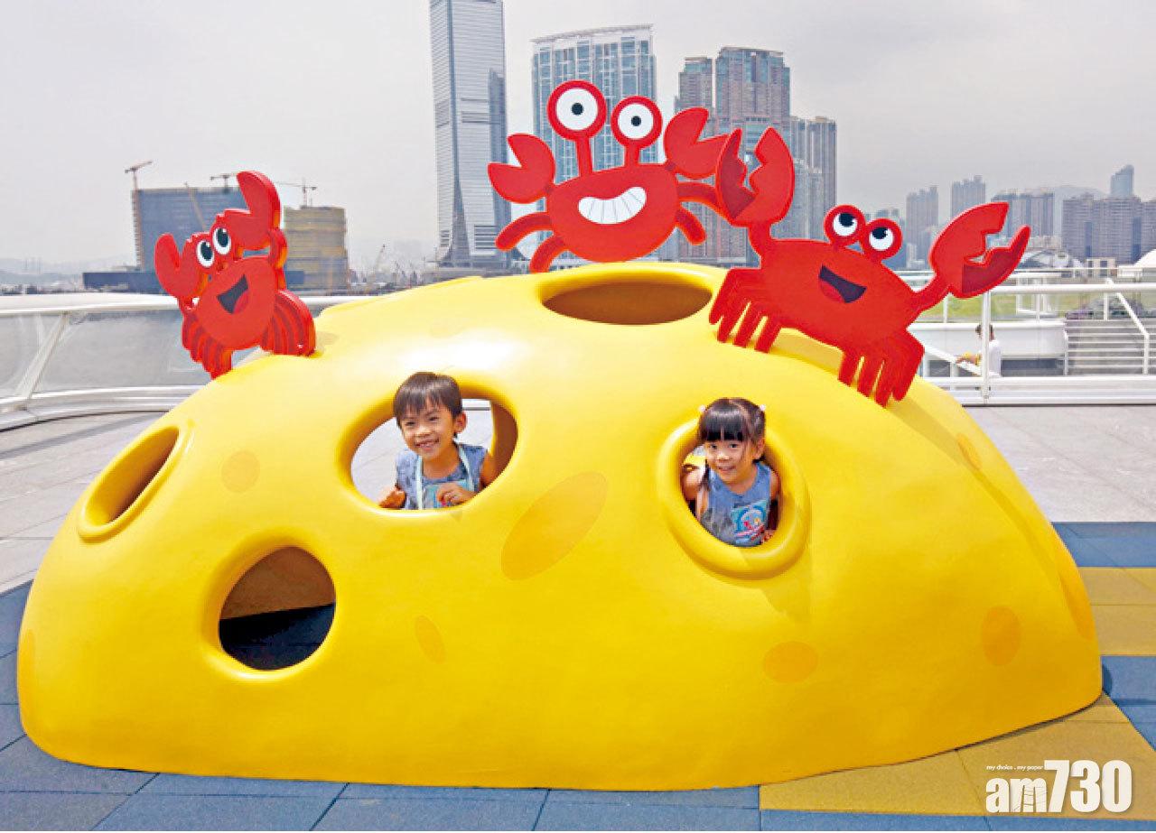 抓緊暑假鯊魚尾巴