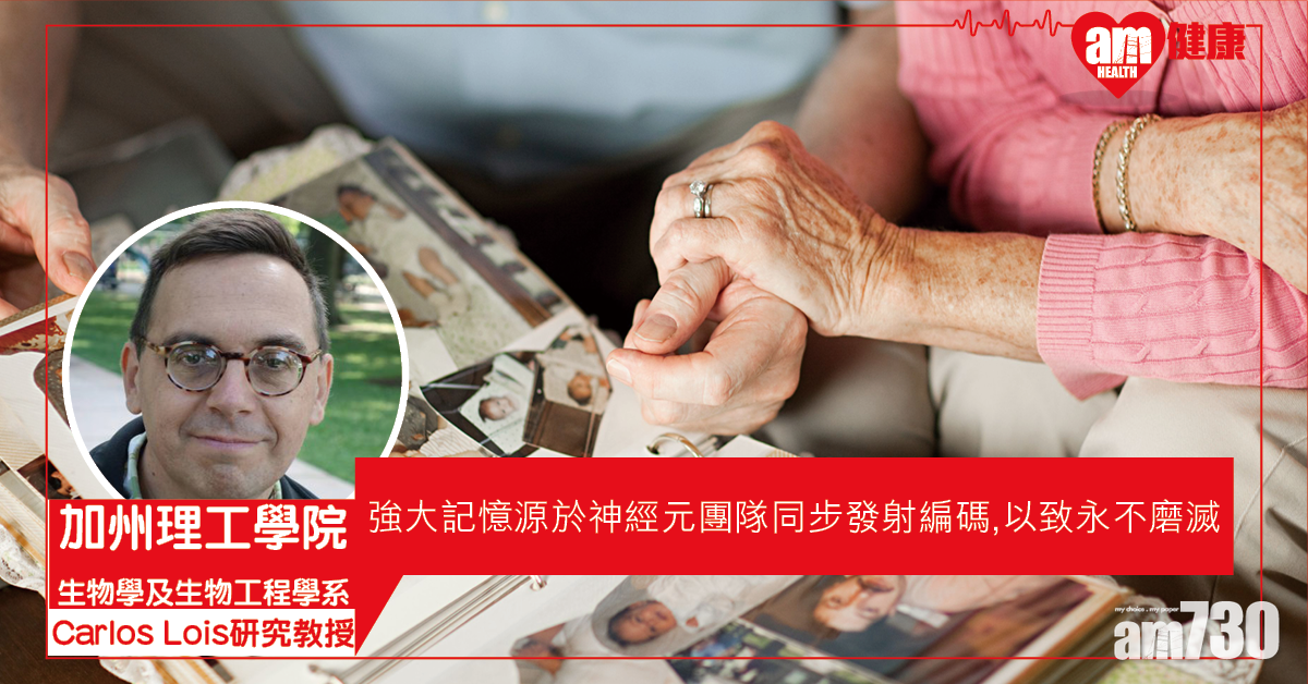 【記憶猶新】研究發現編碼動作的神經元愈多 記憶愈堅實